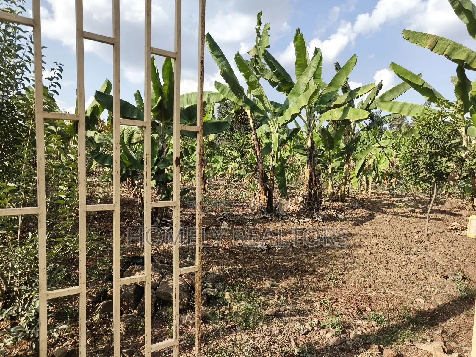 Residential Quarter Acre Plot in Kerarapon Drive, Ngong. Red Soil. in Kerarapon