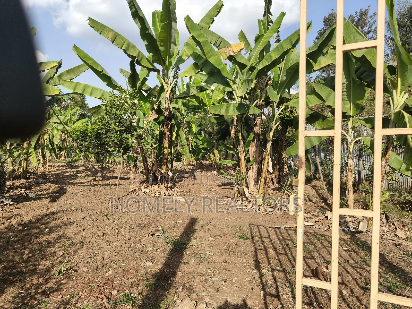 Residential Quarter Acre Plot in Kerarapon Drive, Ngong. Red Soil. in Kerarapon