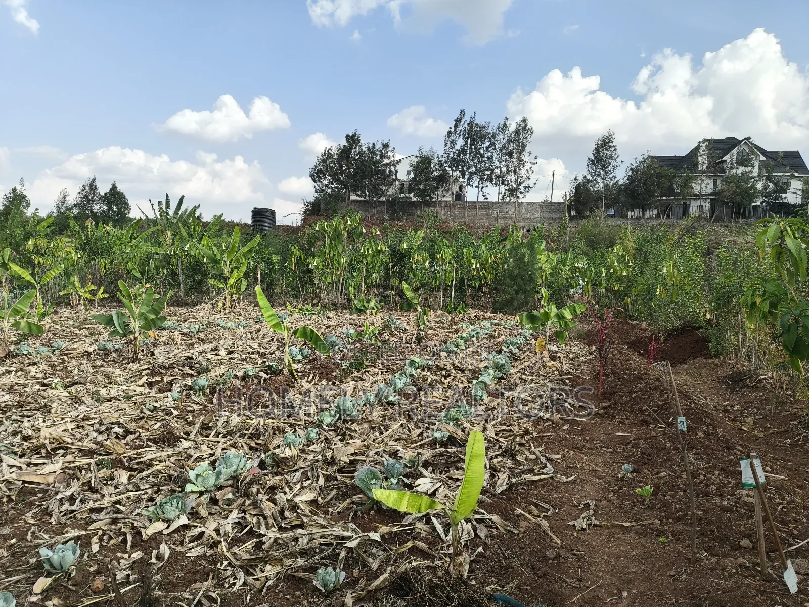 Quarter Acre Red Soil Plots in Kerarapon Drive, Ngong for Sale in Kerarapon