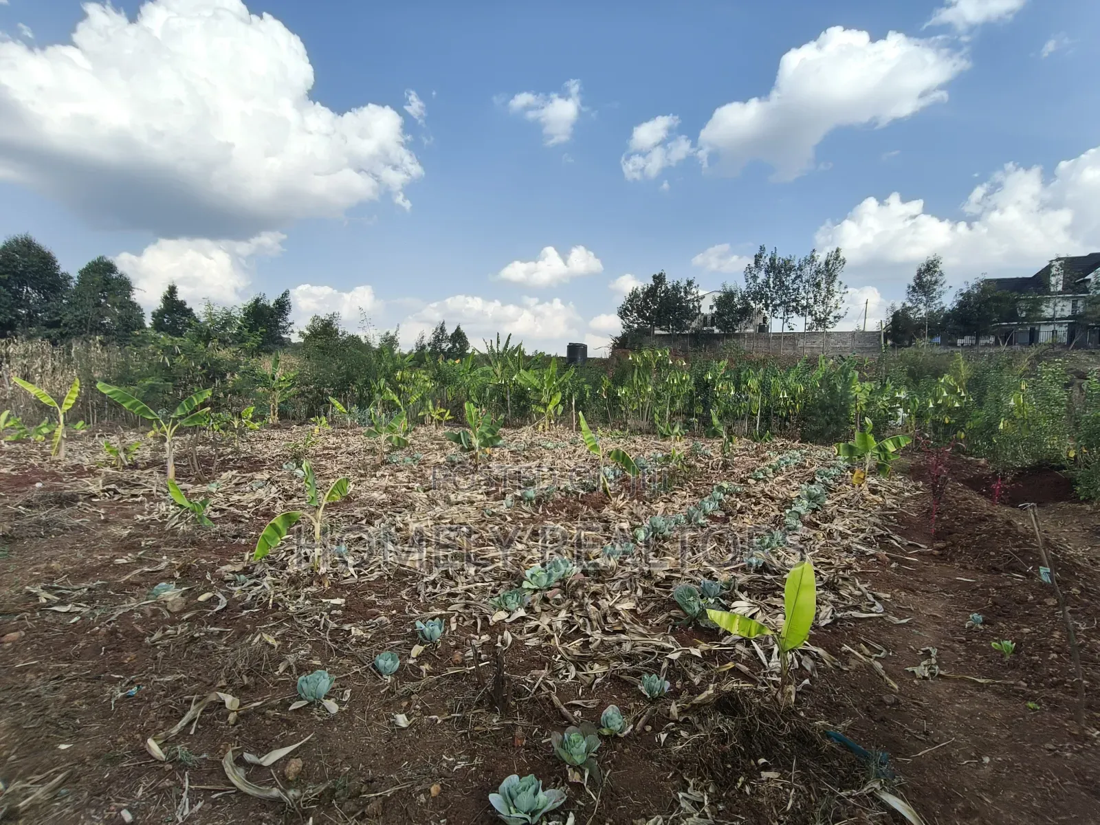 Quarter Acre Red Soil Plots in Kerarapon Drive, Ngong for Sale in Kerarapon