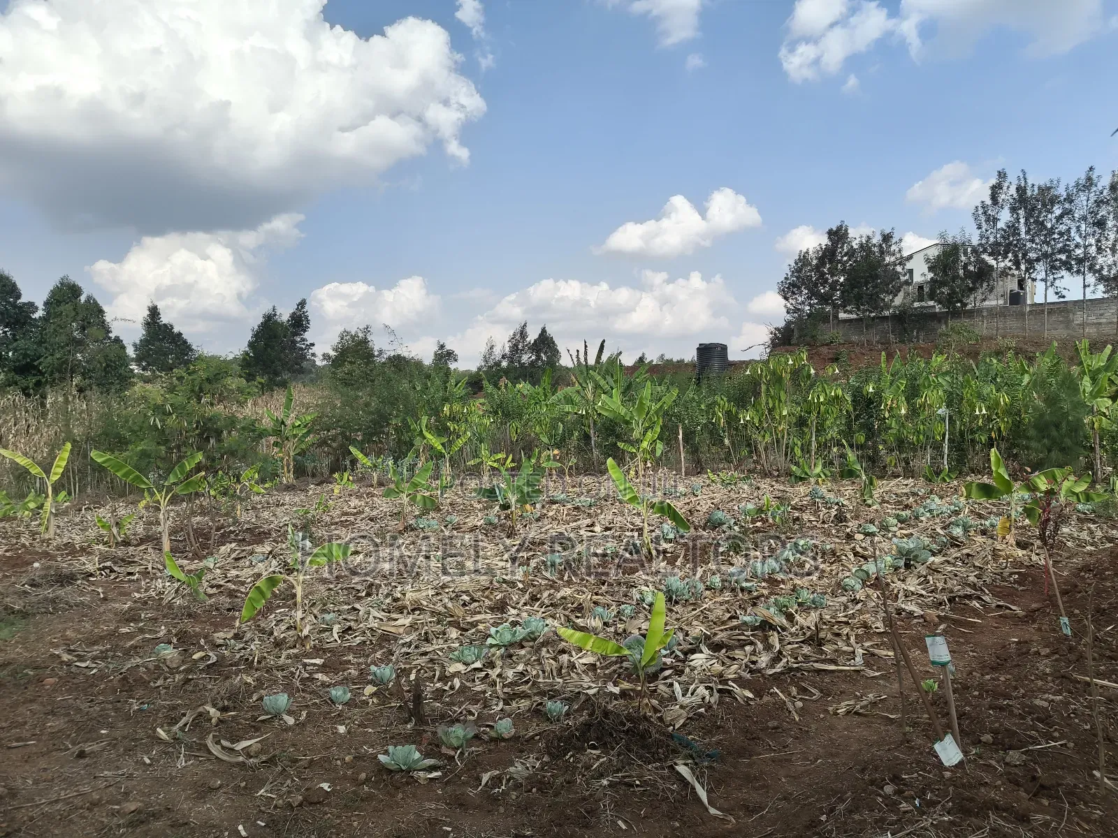 Quarter Acre Red Soil Plots in Kerarapon Drive, Ngong for Sale in Kerarapon