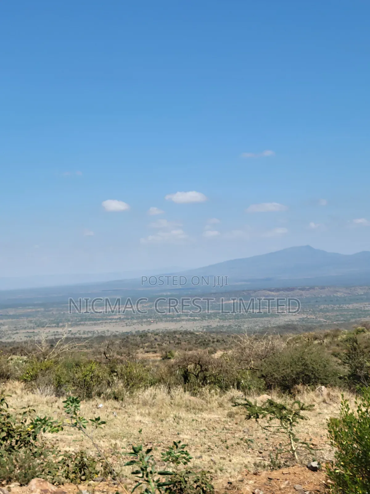 1/2 an Acre and 1/4 Acre Plots for Sale at and Respectively in Ewaso Kendong