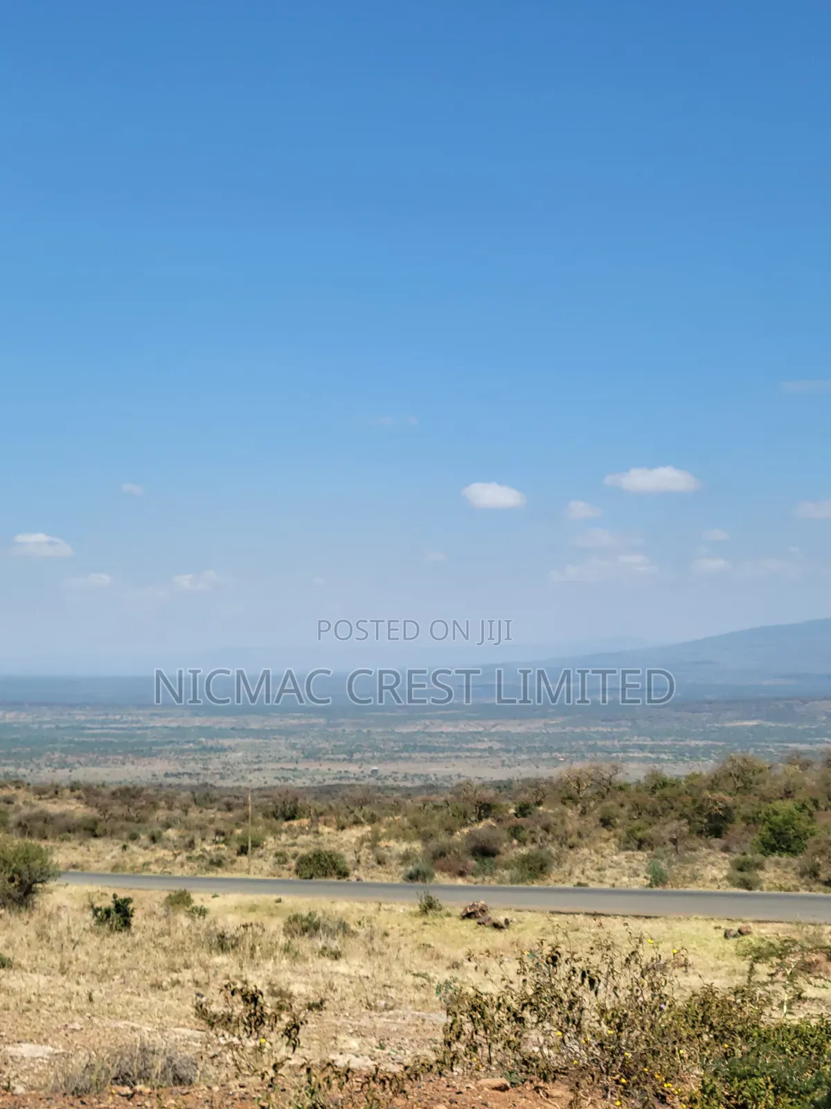 1/2 an Acre and 1/4 Acre Plots for Sale at and Respectively in Ewaso Kendong