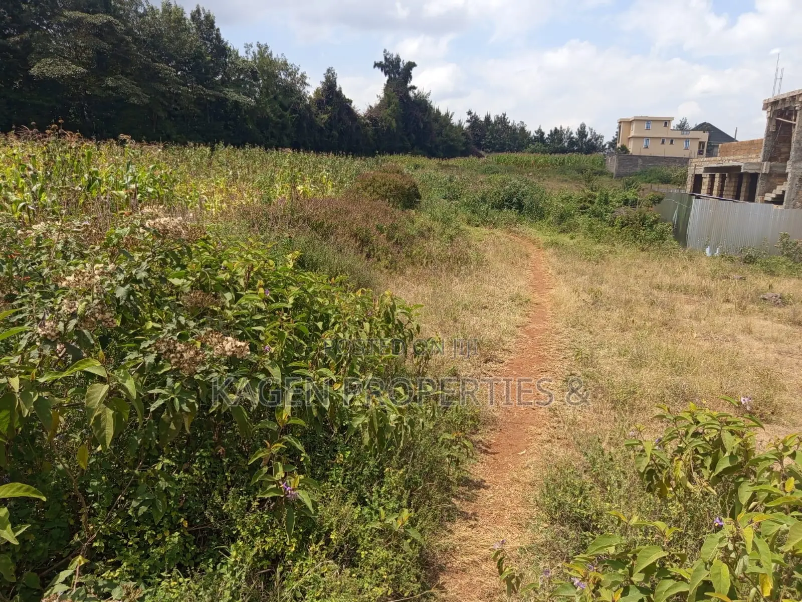 Plots in Ngong Kibiko for Sale in Kibiku
