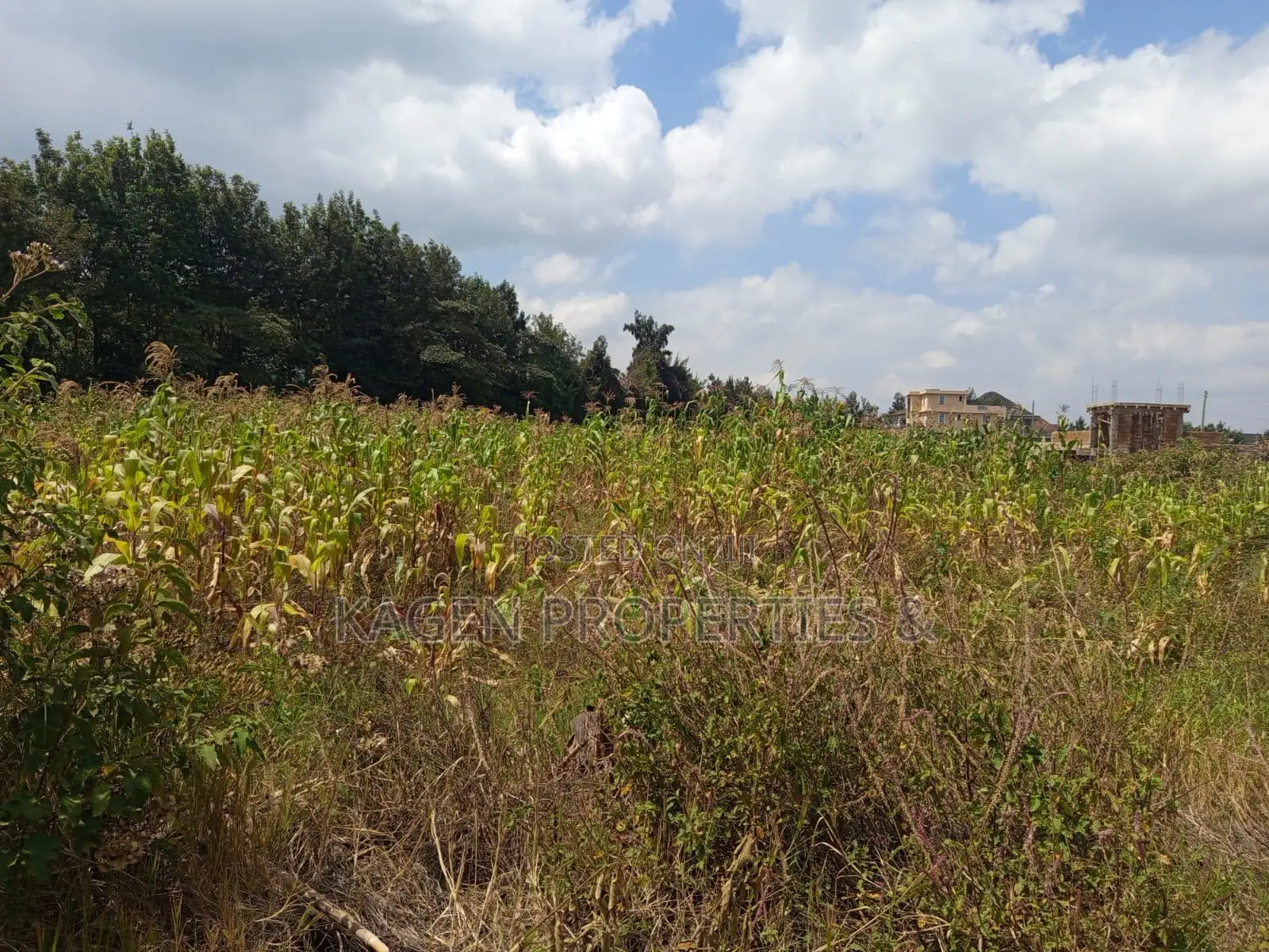 Plots in Ngong Kibiko for Sale in Kibiku