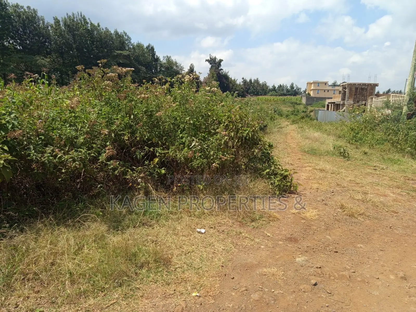 Plots in Ngong Kibiko for Sale in Kibiku