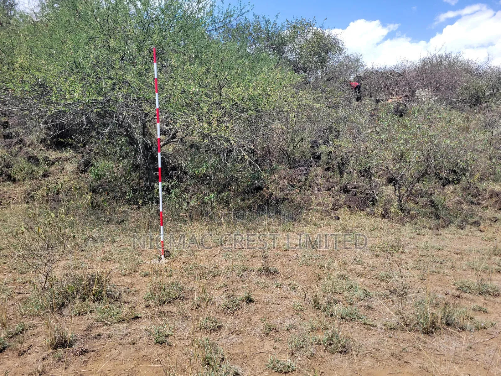 Offer! Offer! 1/2 Acres Plots for Sale in Ewaso Kendong