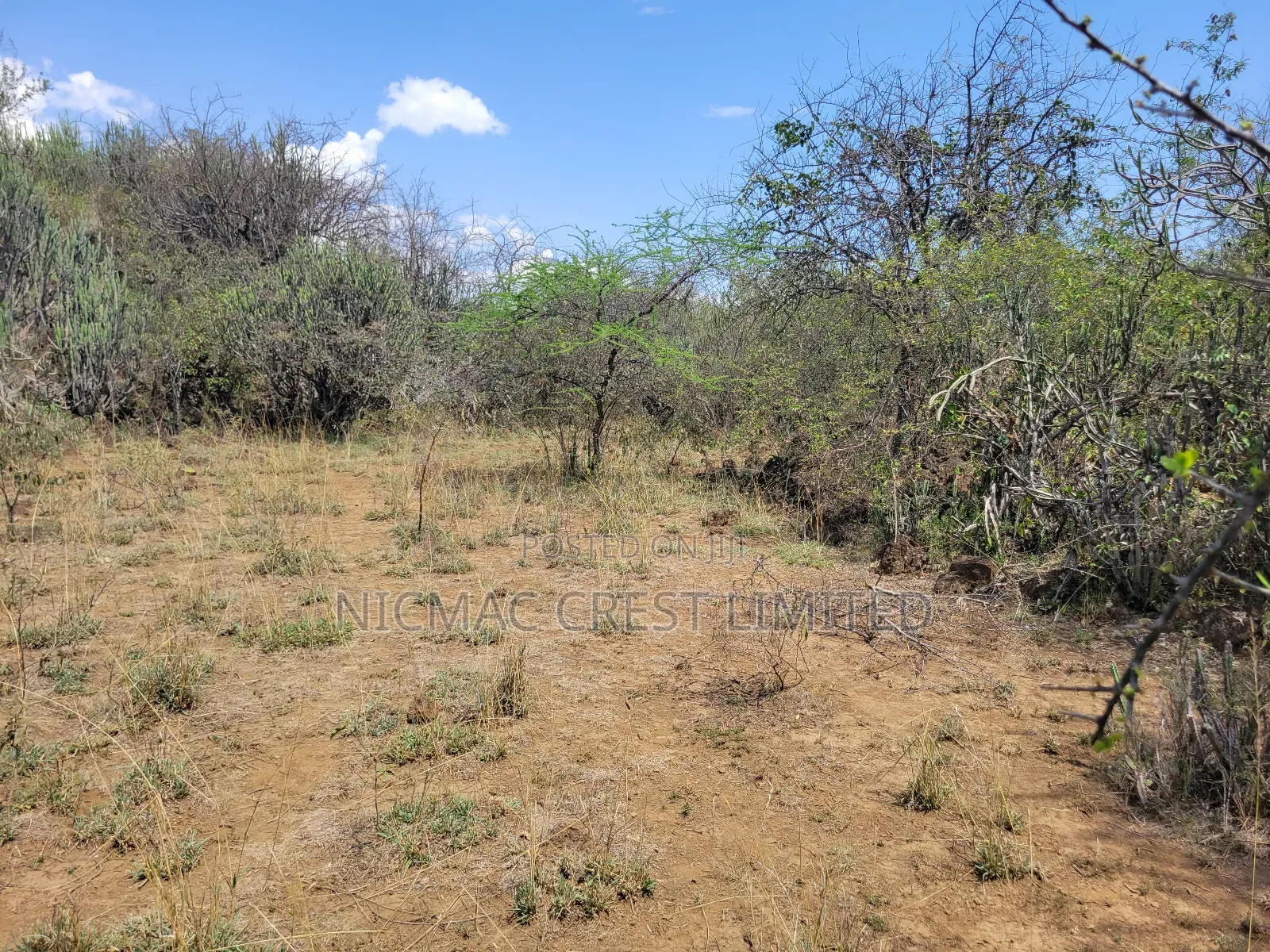 Offer! Offer! 1/2 Acres Plots for Sale in Ewaso Kendong