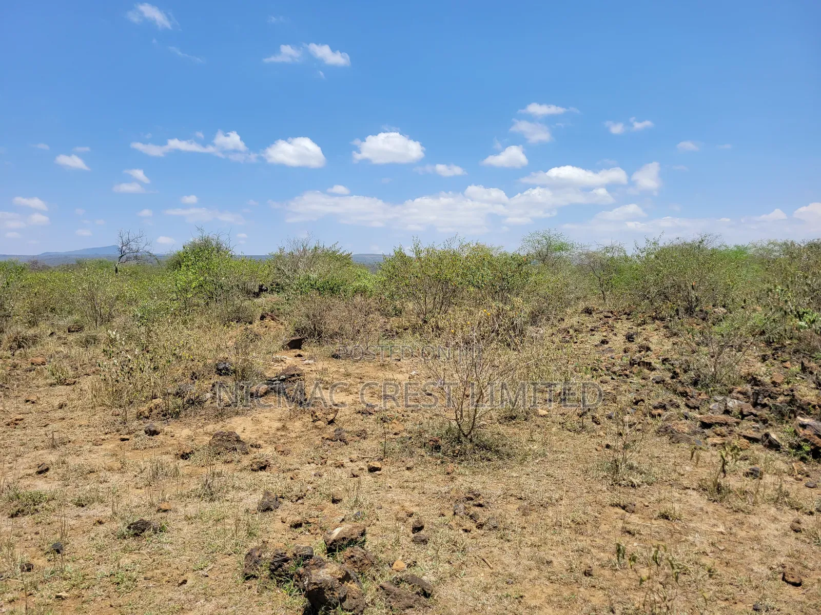 1/2 Plots For Sale in Ewaso Kendong
