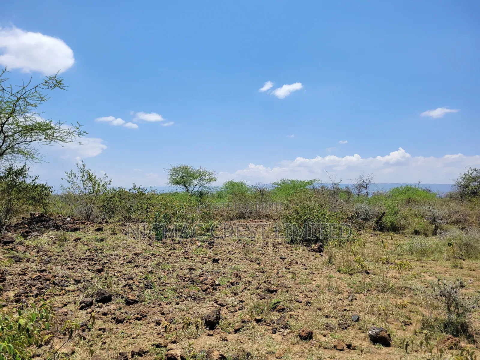 1/2 Plots For Sale in Ewaso Kendong