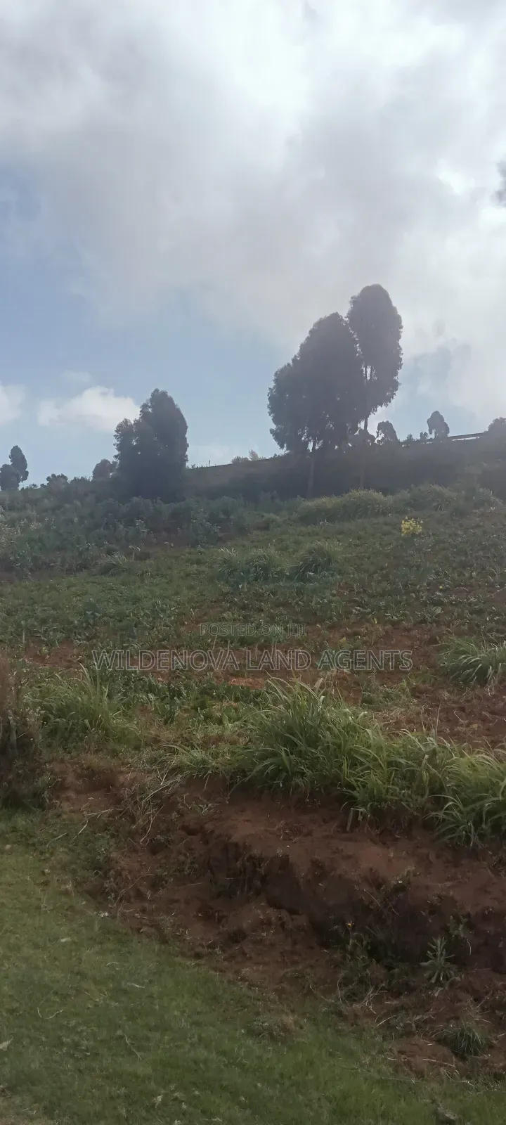 Land on Sale at View Point Flyover Nakuru in Naivasha East