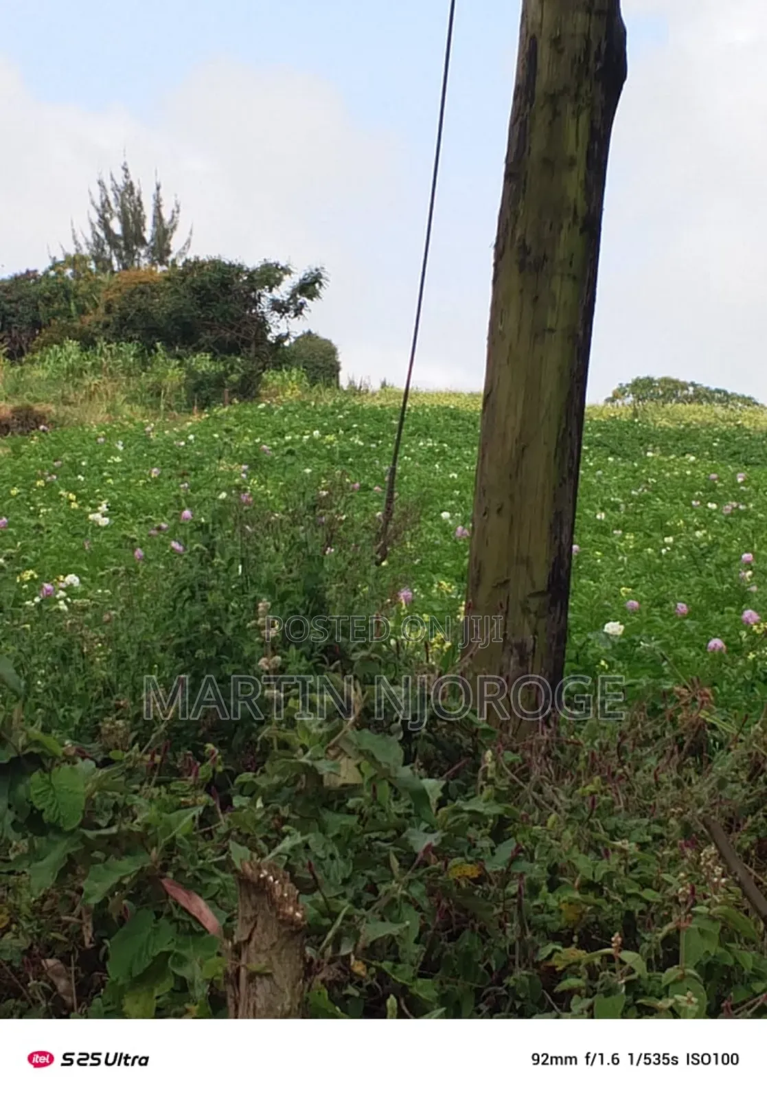 50 by 100 Escarpment in Lari/Kirenga