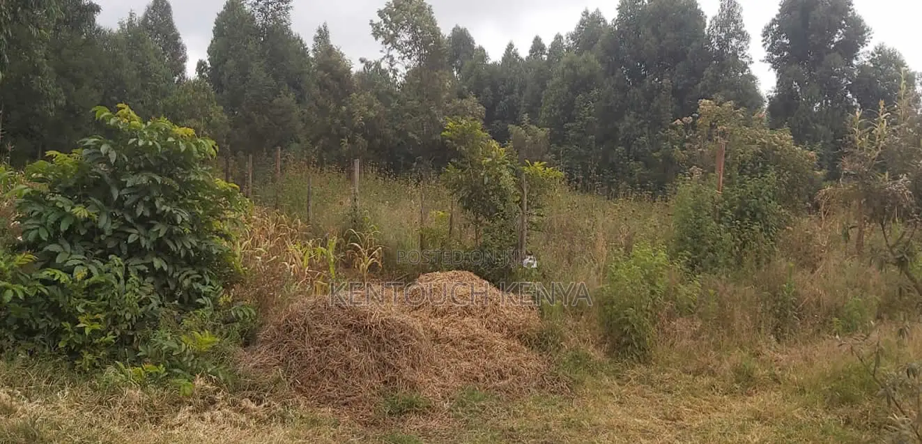 Residential Plots for Sale in Kikuyu, Gikambura Lusigetti in Thogoto