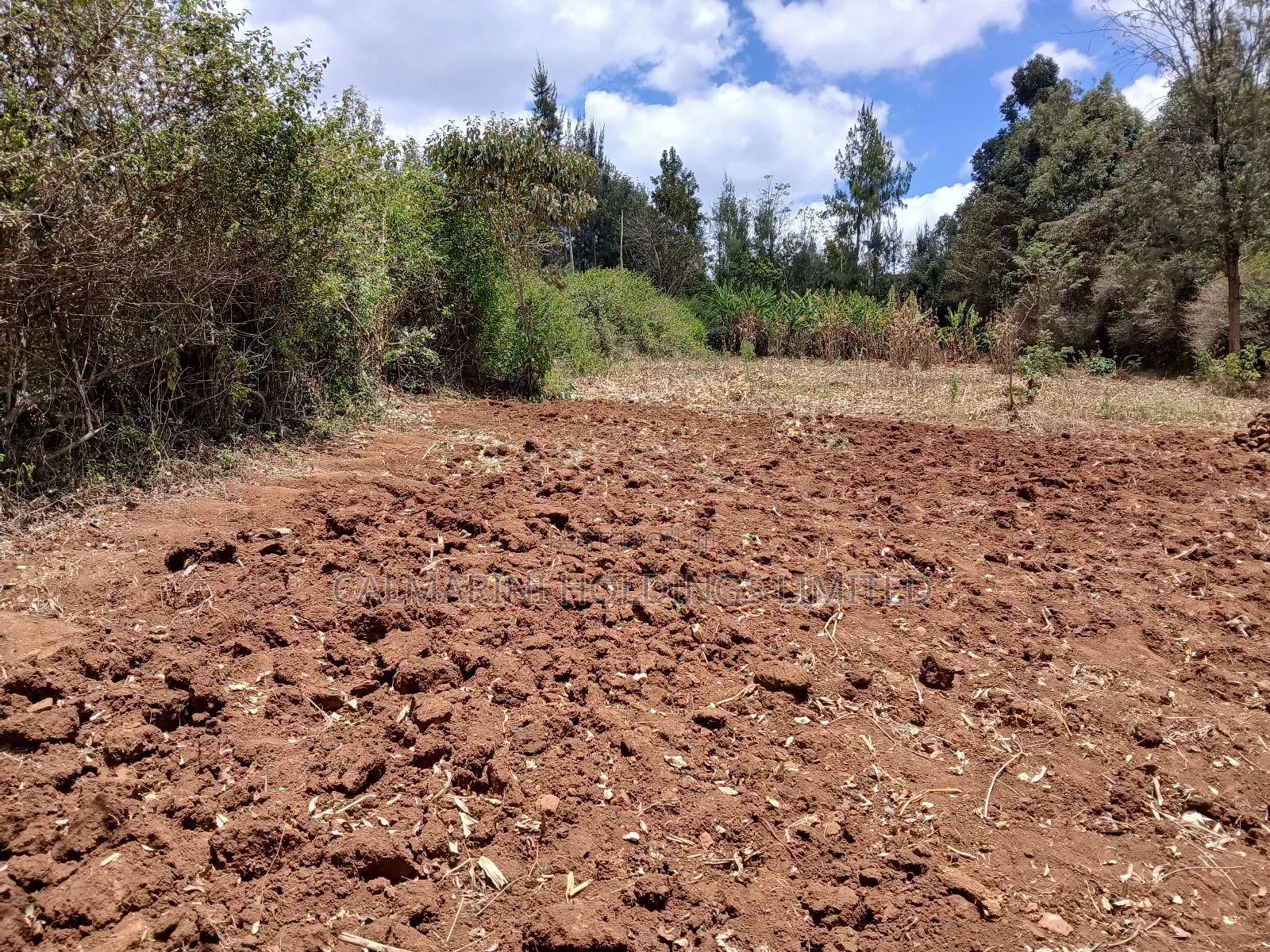 Very Prime Plots in a Gated Community in Karen View Near Ankara Resort in Matasia