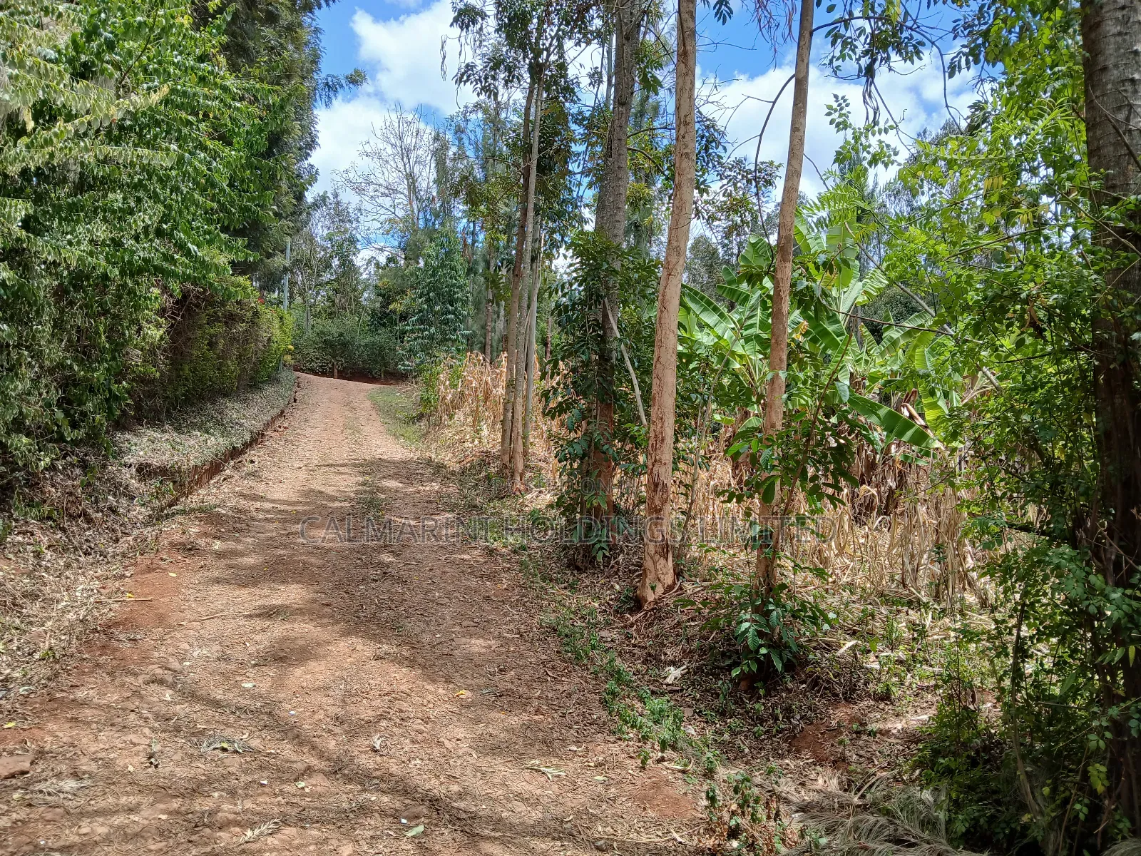 Very Prime Plots in a Gated Community in Karen View Near Ankara Resort in Matasia