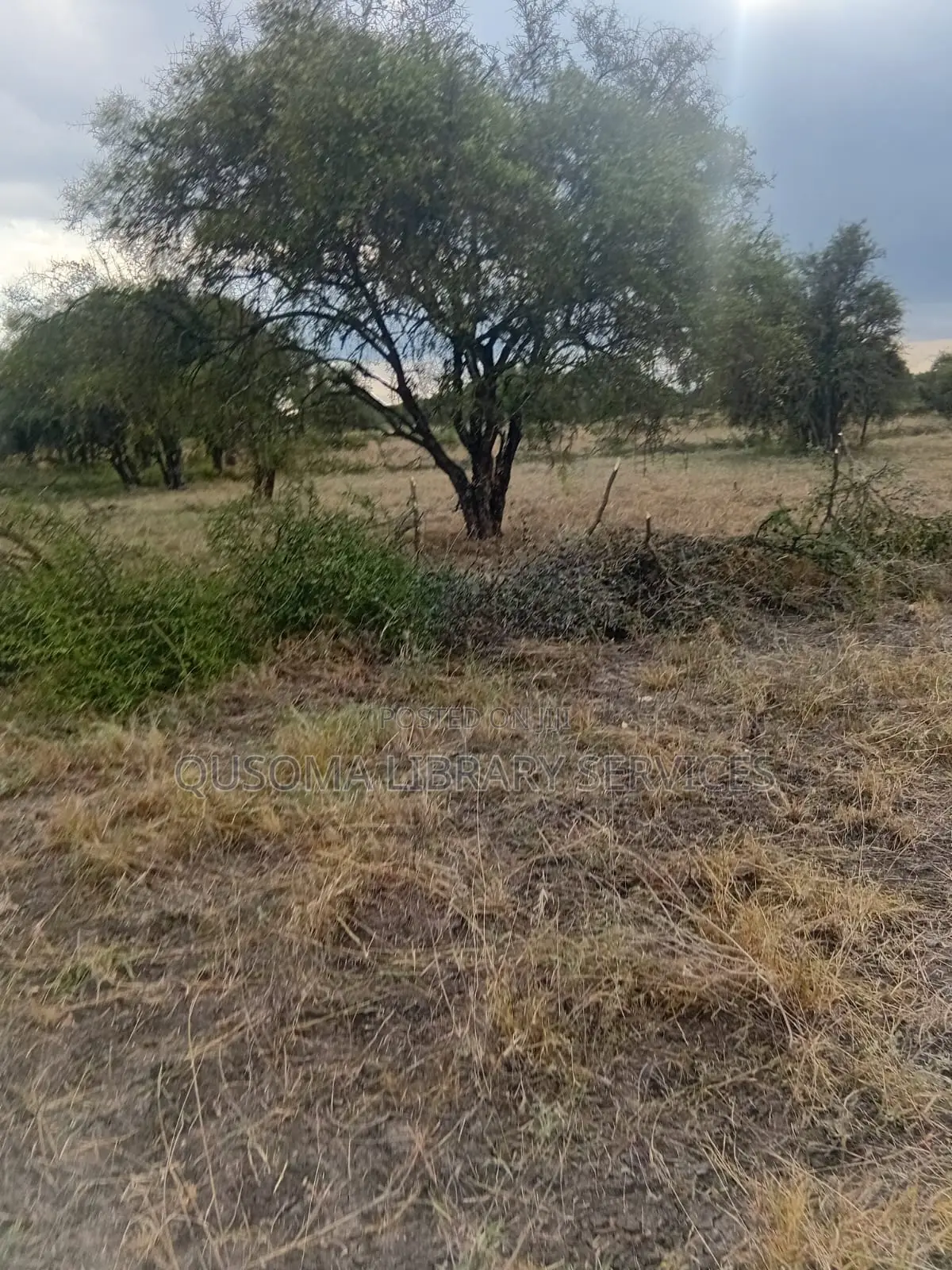 25 Acres At Kitengela Stage 26 Olooloitikoshi in Kitengela