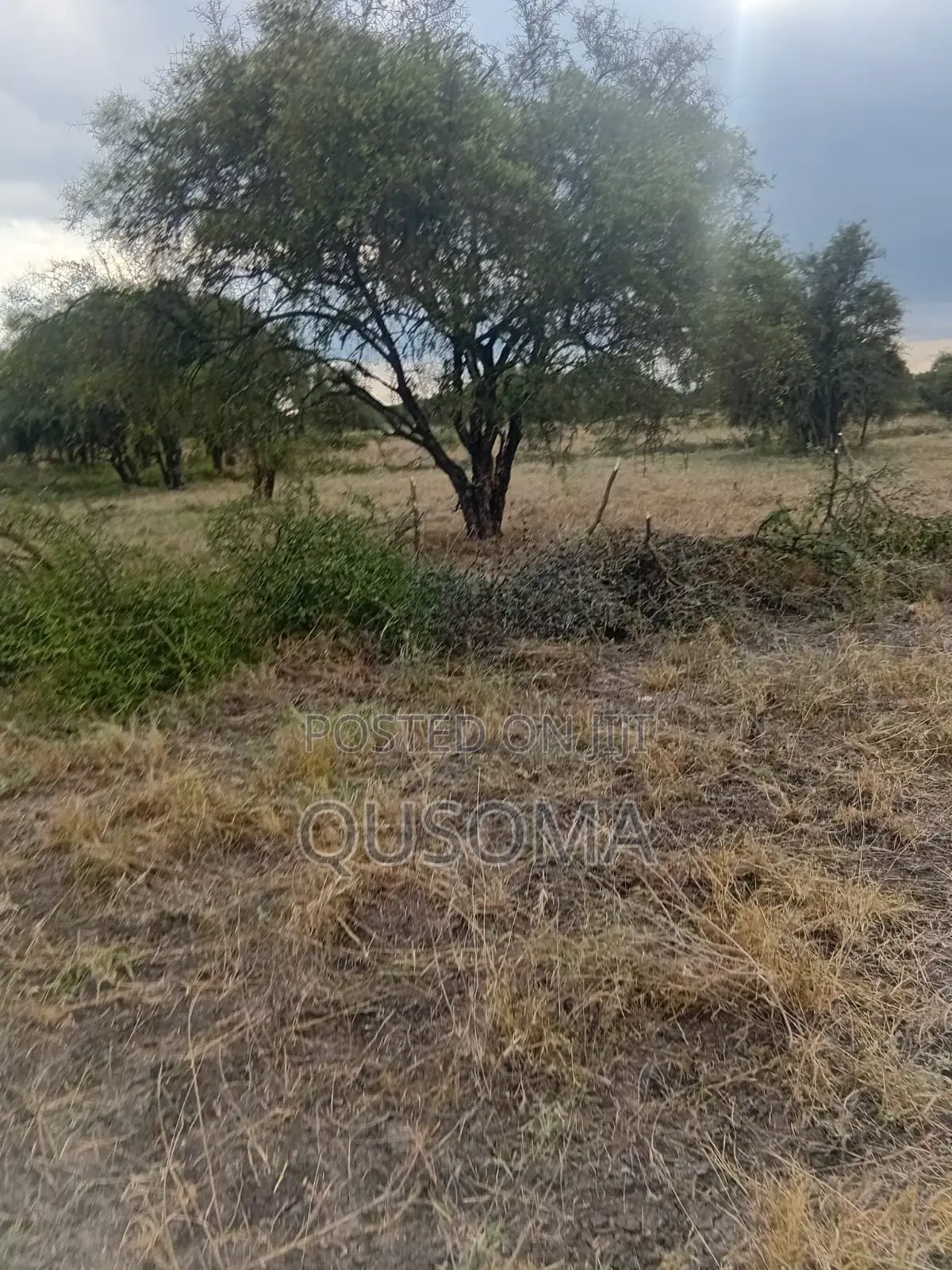 25 Acres At Kitengela Stage 26 Olooloitikoshi in Kitengela