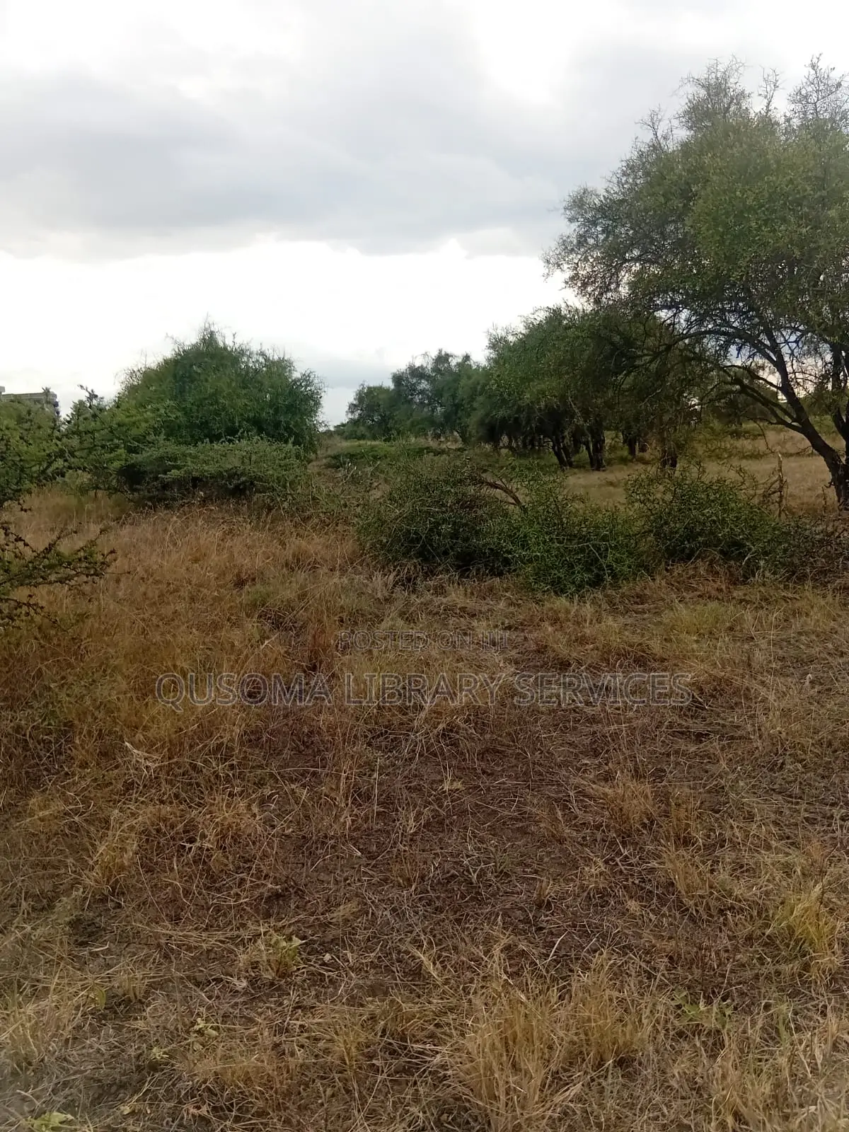 25 Acres At Kitengela Stage 26 Olooloitikoshi in Kitengela