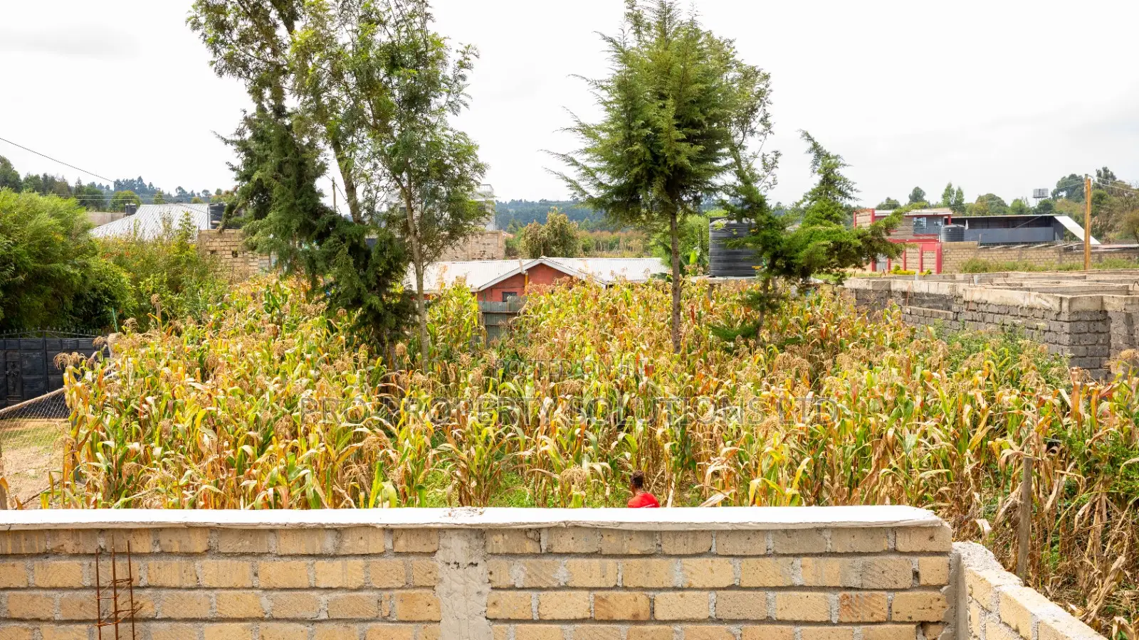 50 by 100ft Prime Residential Plot for Sale in Kikuyu, Kamangu. in Kikuyu