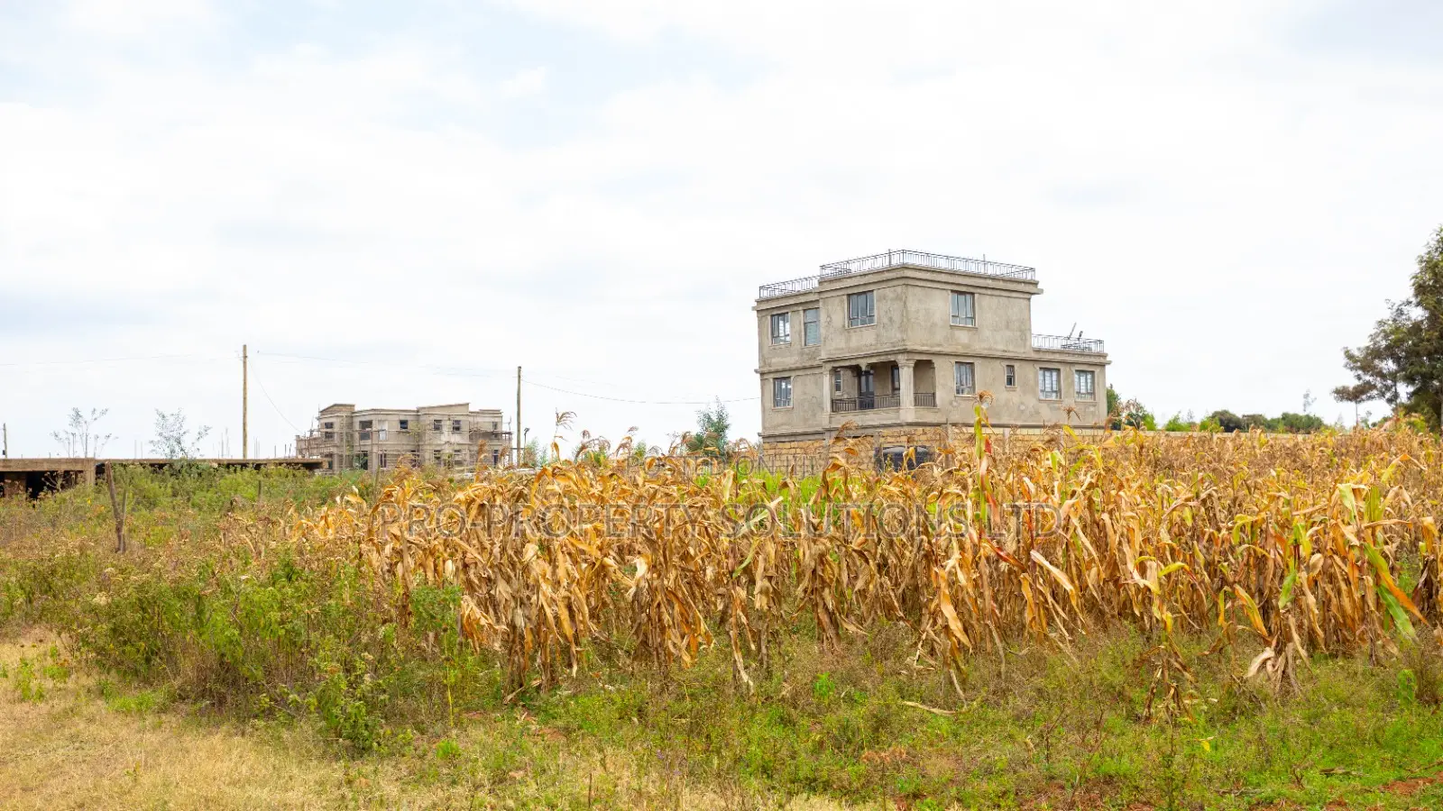 50 by 100 Plots for Sale in Kikuyu, Kamangu in Kikuyu