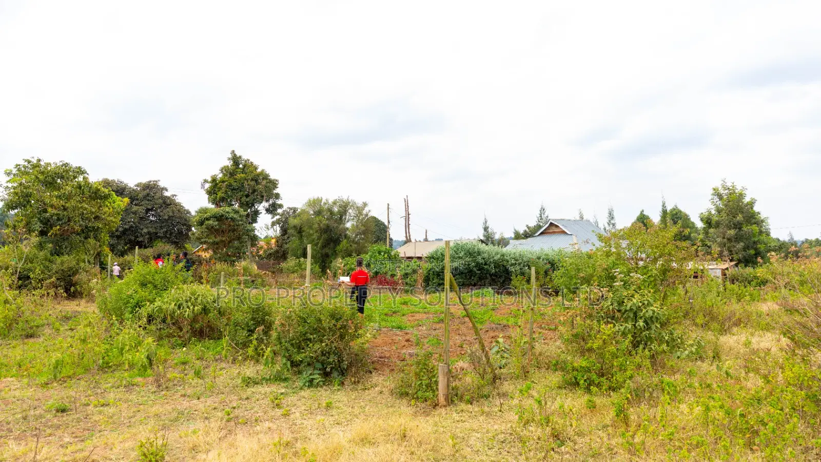 50 by 100 Plots for Sale in Kikuyu, Kamangu in Kikuyu
