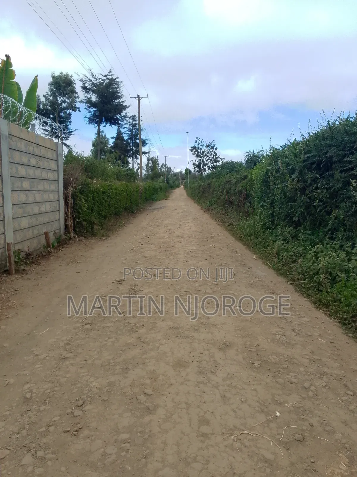 1⁄4(100 by 100) Nyambari, Teachers in Lari/Kirenga