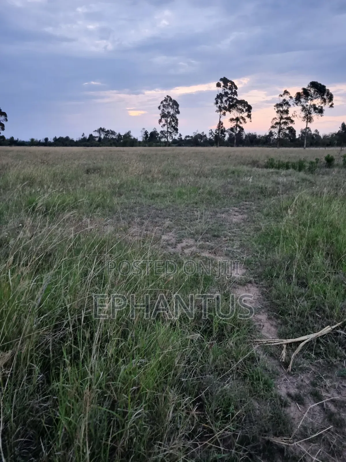 3.2 Acres Narumoru at Per Acre in Kieni