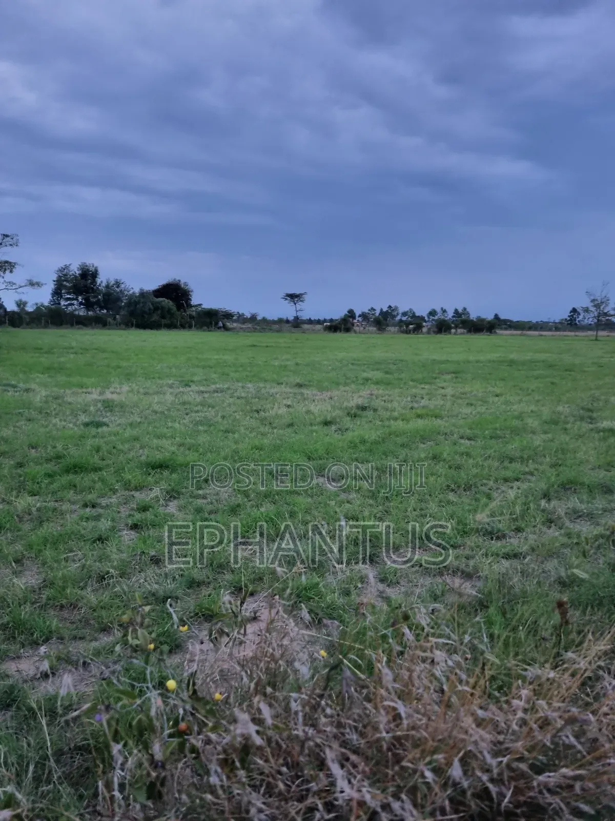 3.2 Acres Narumoru at Per Acre in Kieni