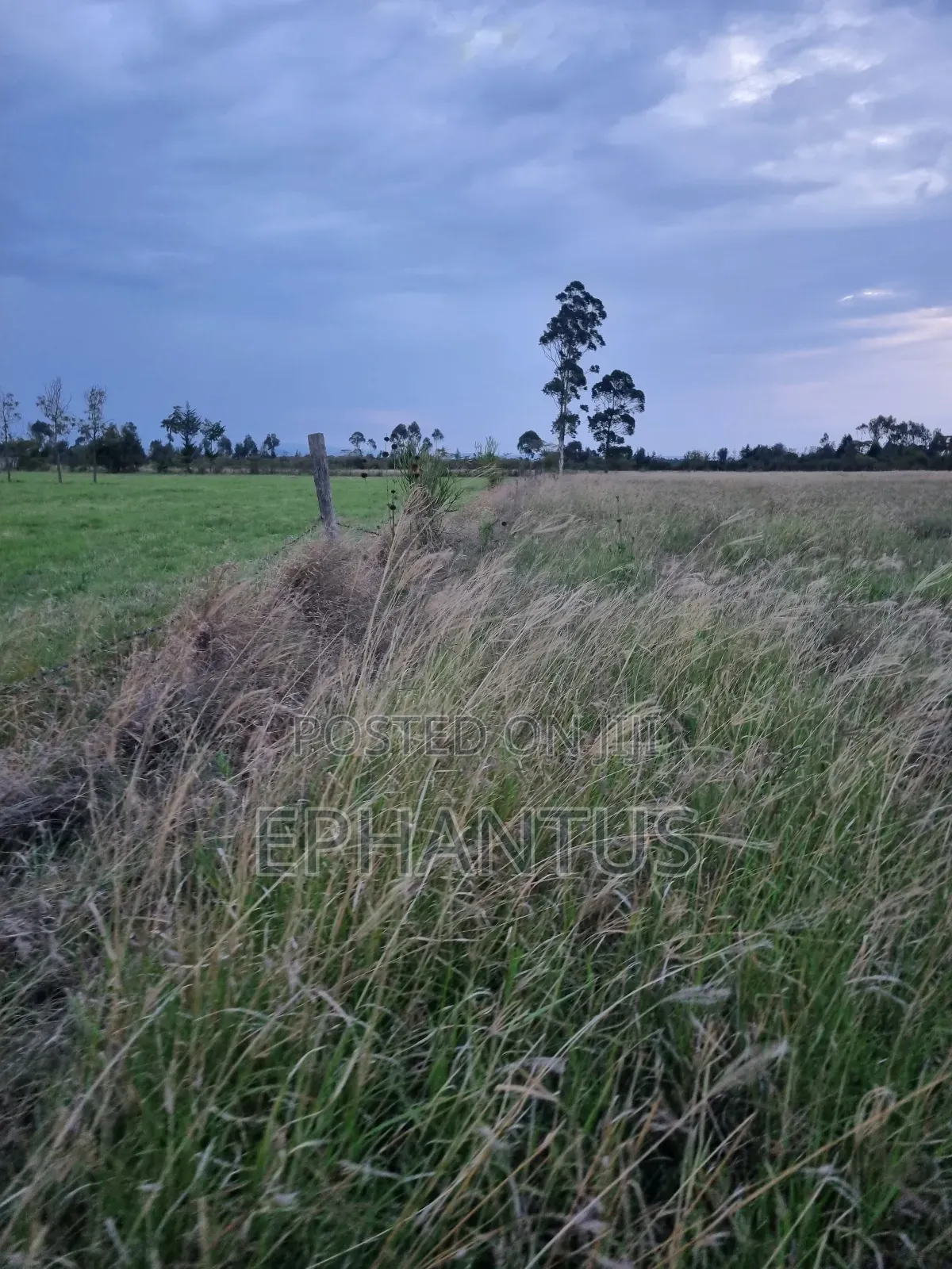 3.2 Acres Narumoru at Per Acre in Kieni