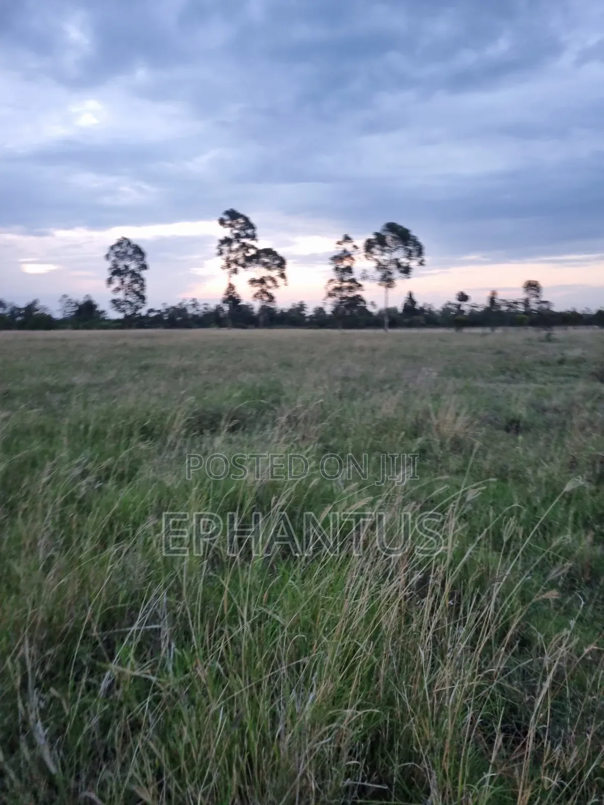 3.2 Acres Narumoru at Per Acre in Kieni