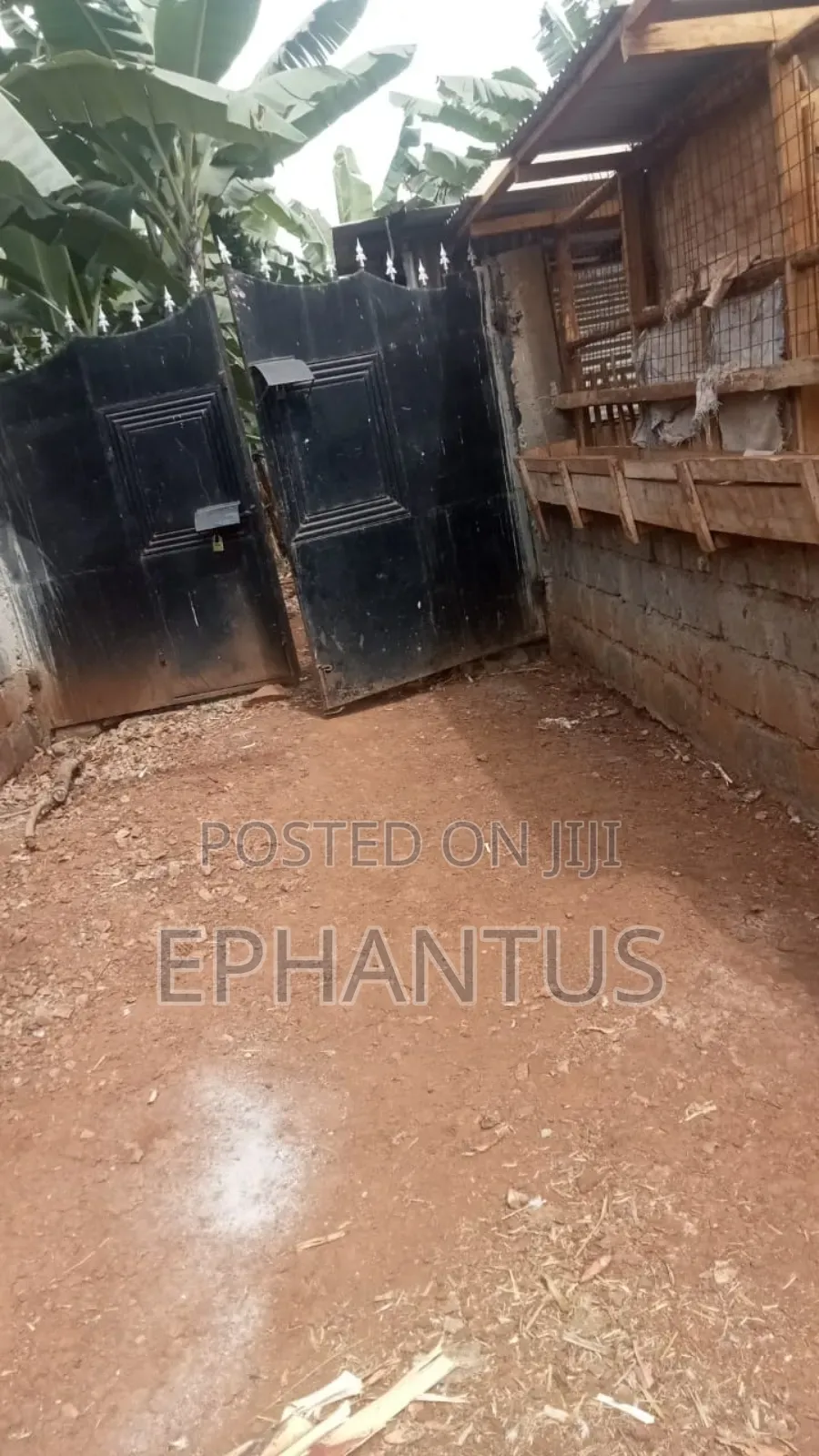 4bdrm Farm House in Kerugoya for sale in Kerugoya