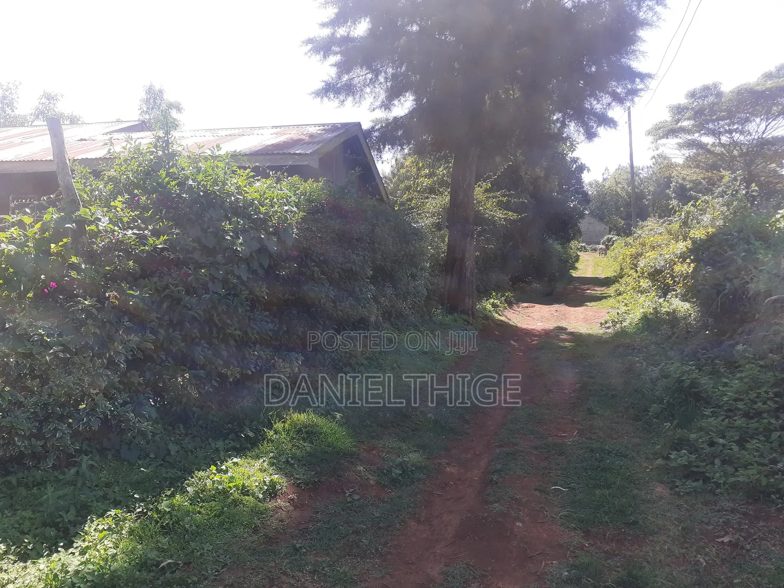 Quarter Acre 100 by 100 Plot on Sale in Rironi Chunga Mali Near Tilisi in Tigoni