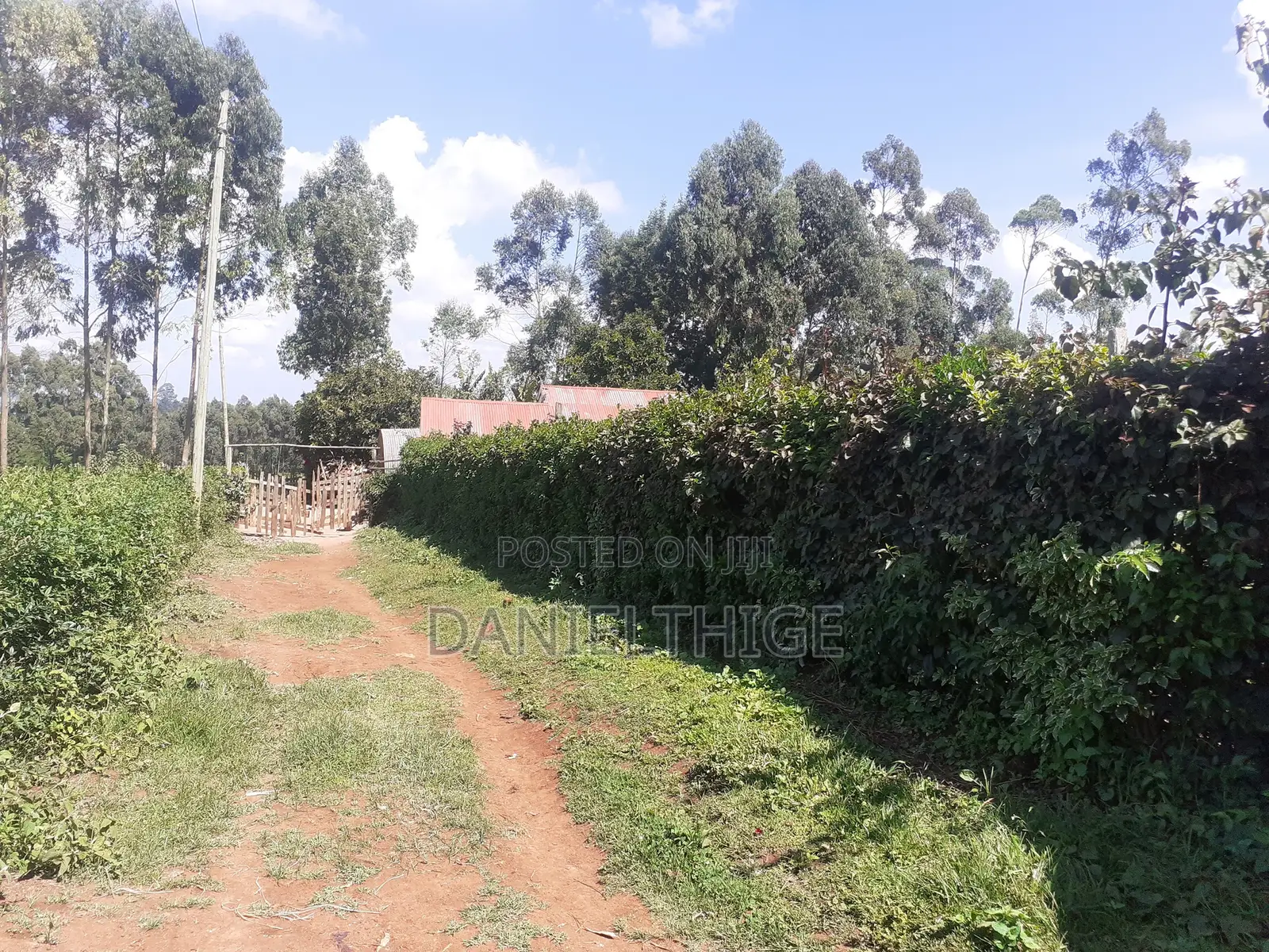 Quarter Acre 100 by 100 Plot on Sale in Rironi Chunga Mali Near Tilisi in Tigoni