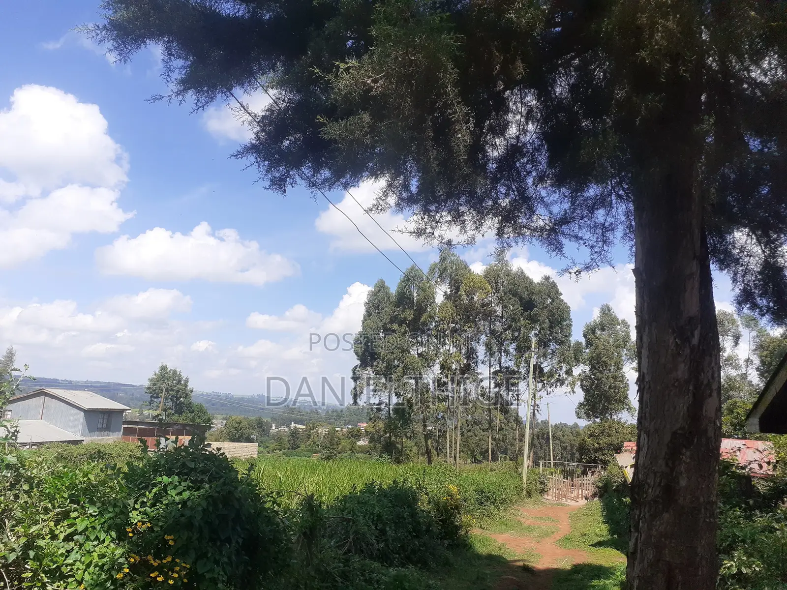 Quarter Acre 100 by 100 Plot on Sale in Rironi Chunga Mali Near Tilisi in Tigoni