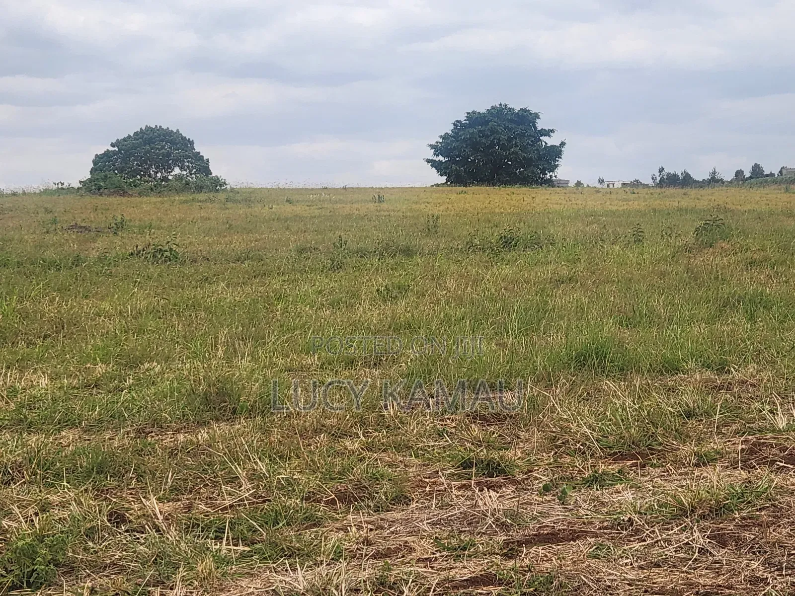Prime 62 Acre Block for Sale in Riabai ,Kiambu in Riabai