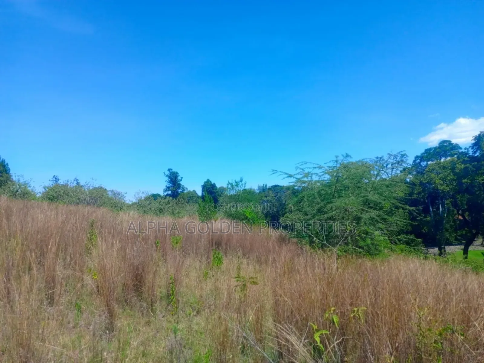 1 Acre Touching River (Daiga) in Gakawa