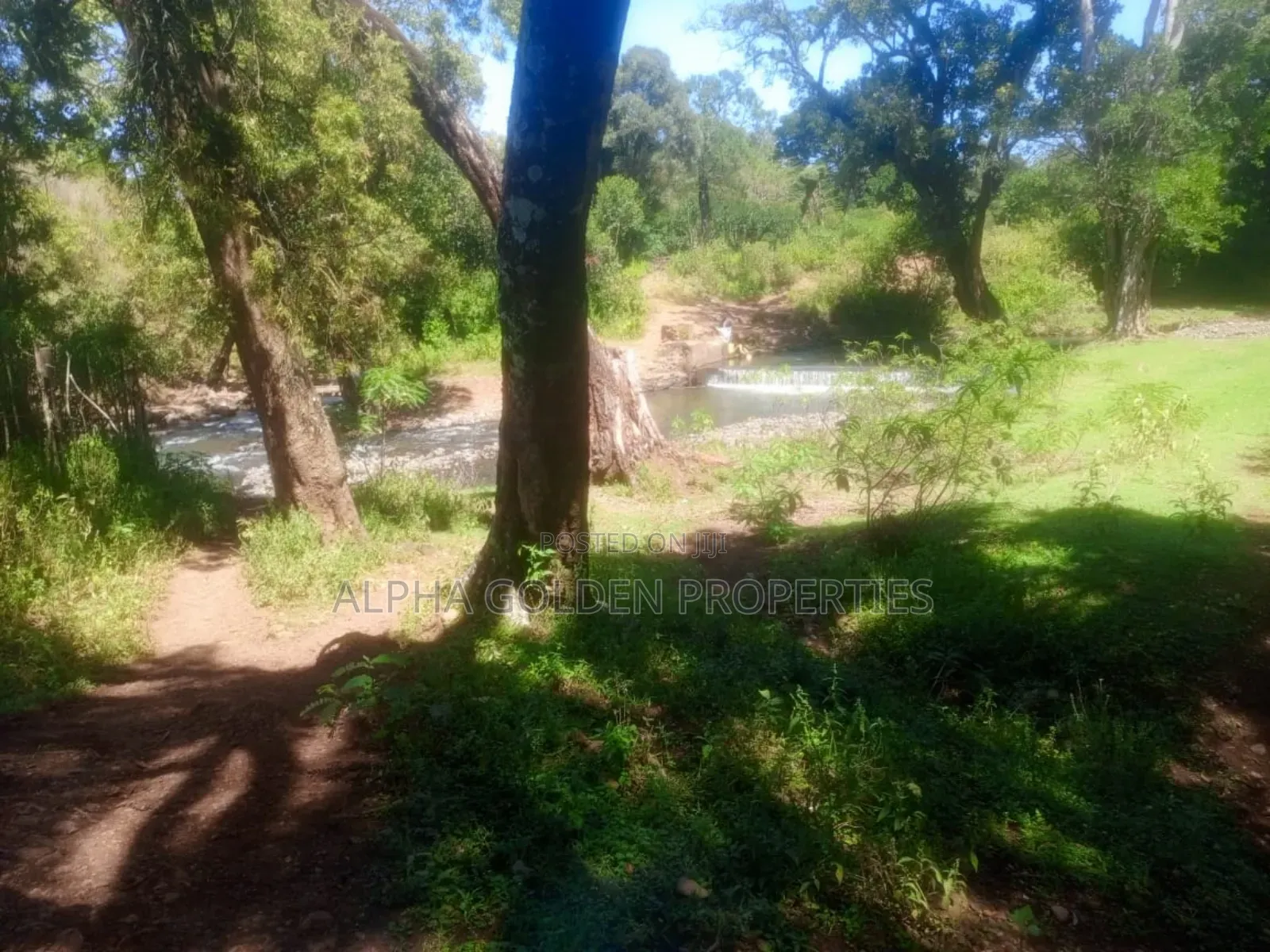 1 Acre Touching River (Daiga) in Gakawa