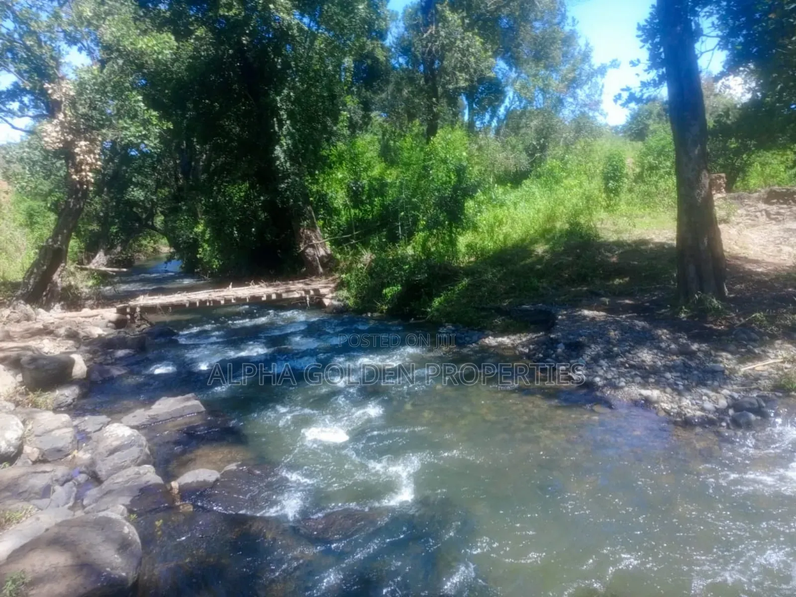 1 Acre Touching River (Daiga) in Gakawa