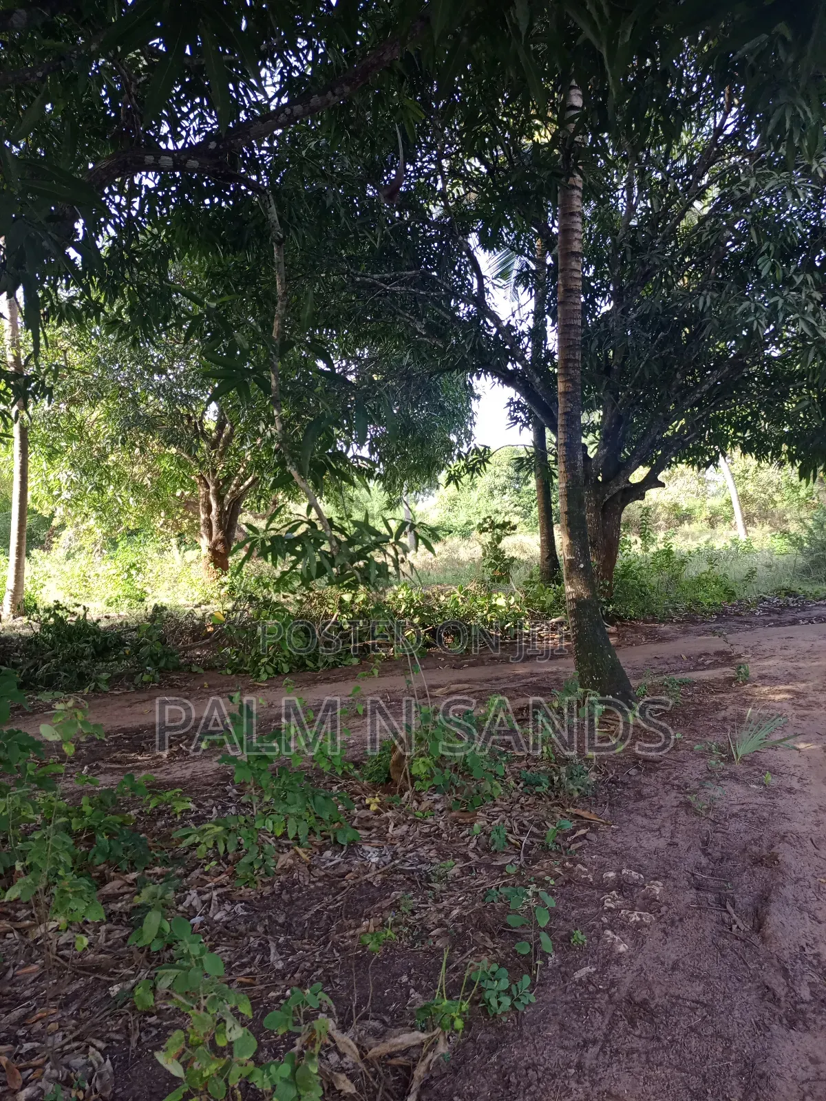 1/4 Acre on Sale in Mvideni Diani in Diani