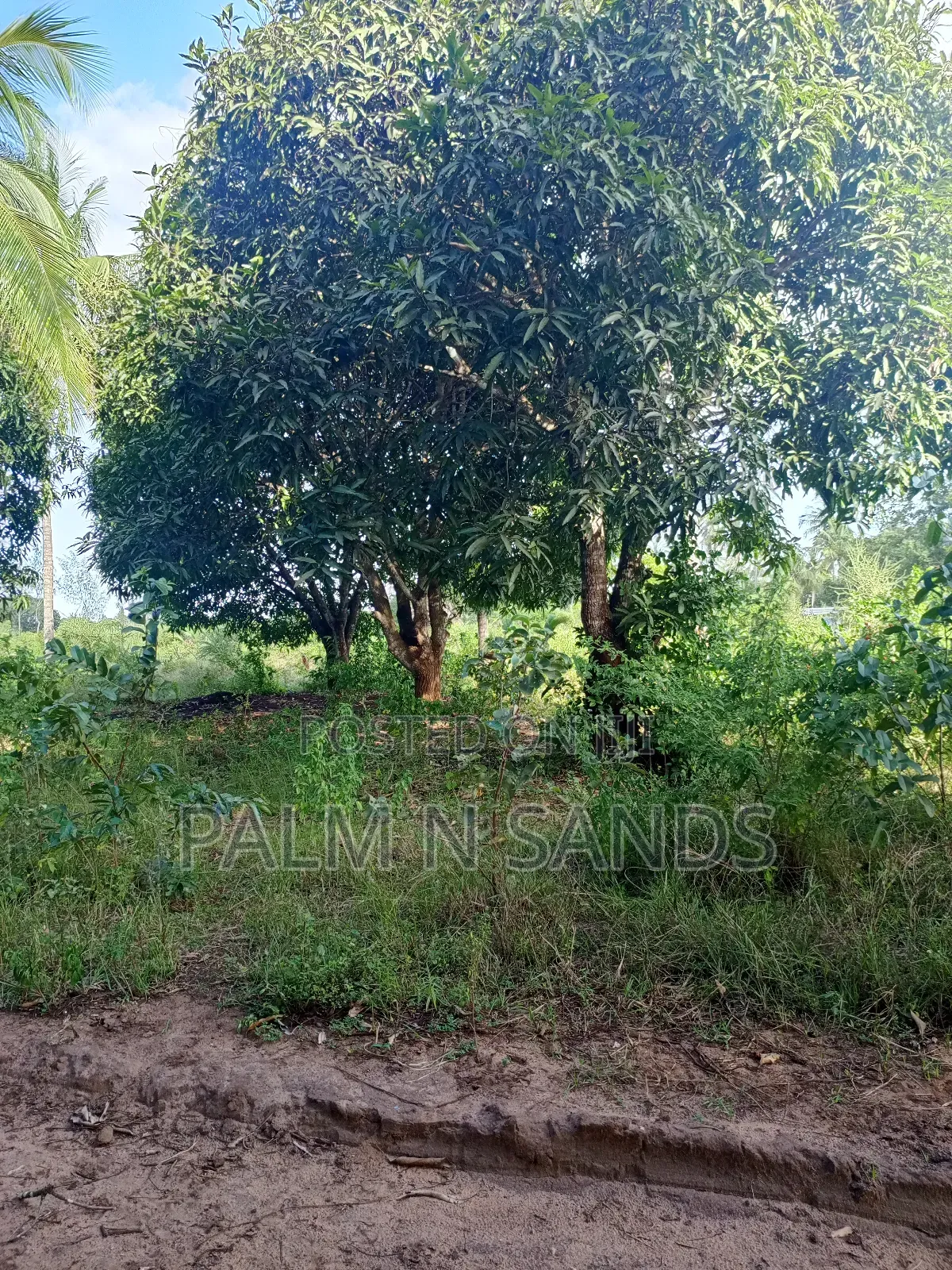 1/4 Acre on Sale in Mvideni Diani in Diani