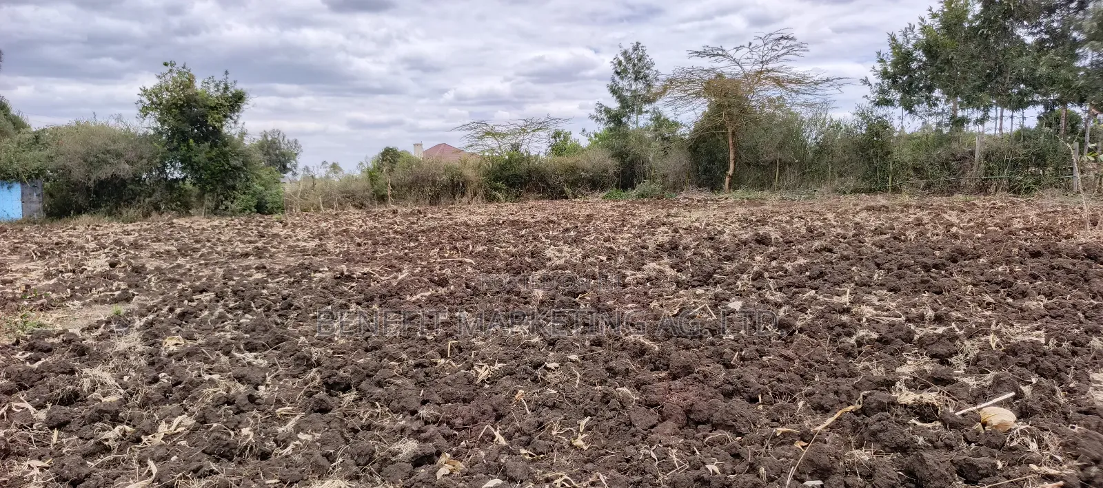 Half Acre Plot for Sale in Ngong Matasia Merisho Road in Ngong