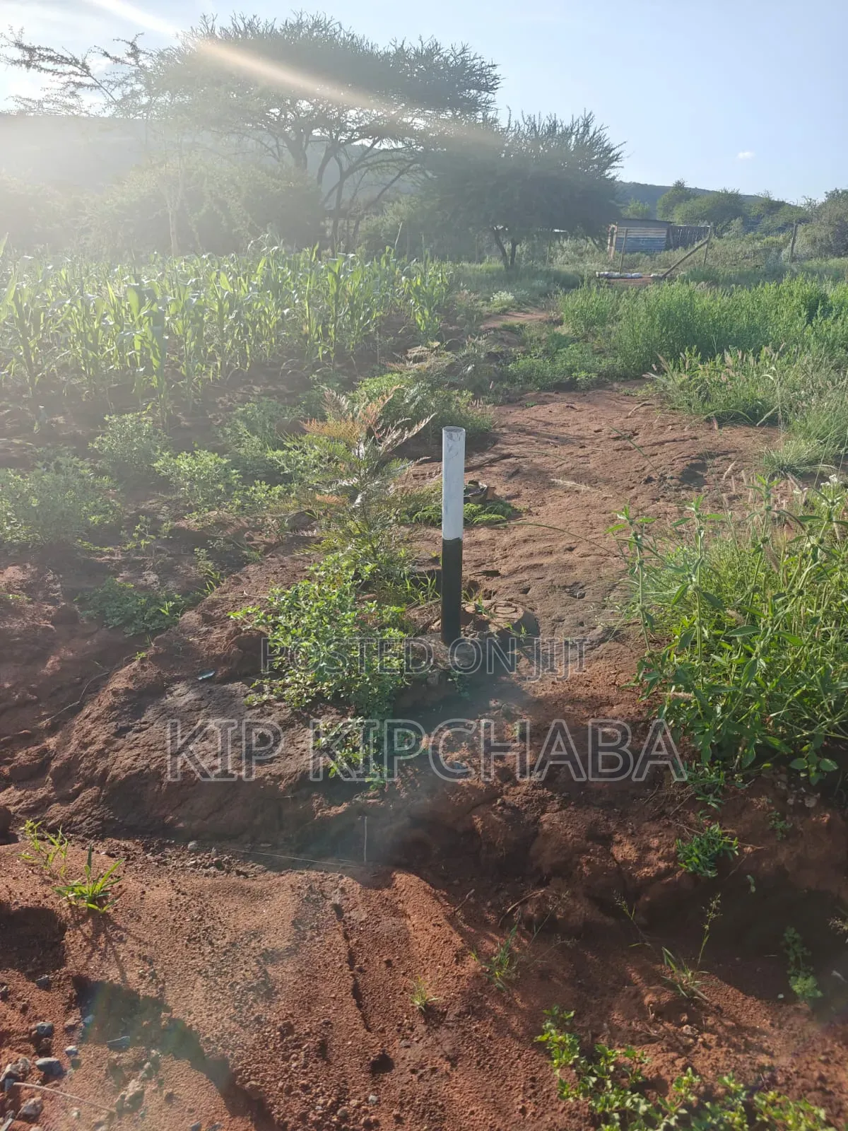 Plots for Sale in Ngong Maroroi Near Suswa Kajiado Near Kiambu Border in Ngong