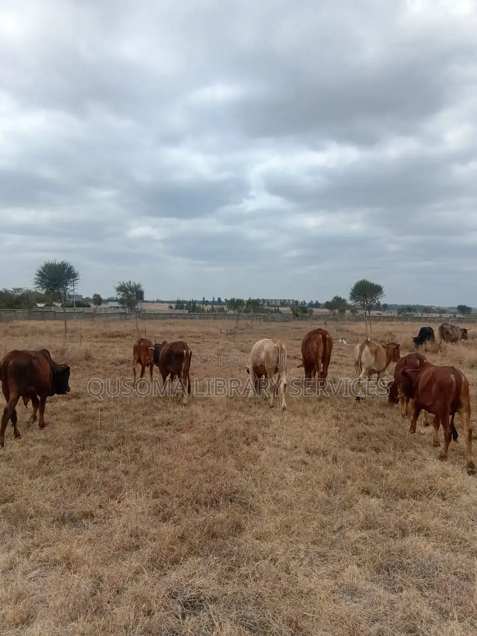 Rare 38-Plot Gated Community in Kisaju, Huanshi – Immediate Profits in Kisaju
