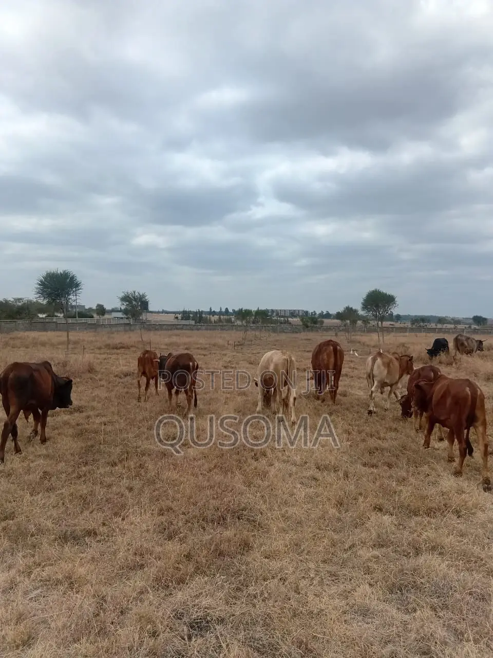 Rare 38-Plot Gated Community in Kisaju, Huanshi – Immediate Profits in Kisaju
