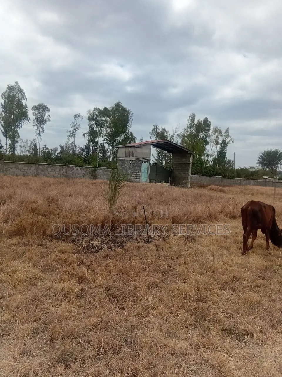Rare 38-Plot Gated Community in Kisaju, Huanshi – Immediate Profits in Kisaju