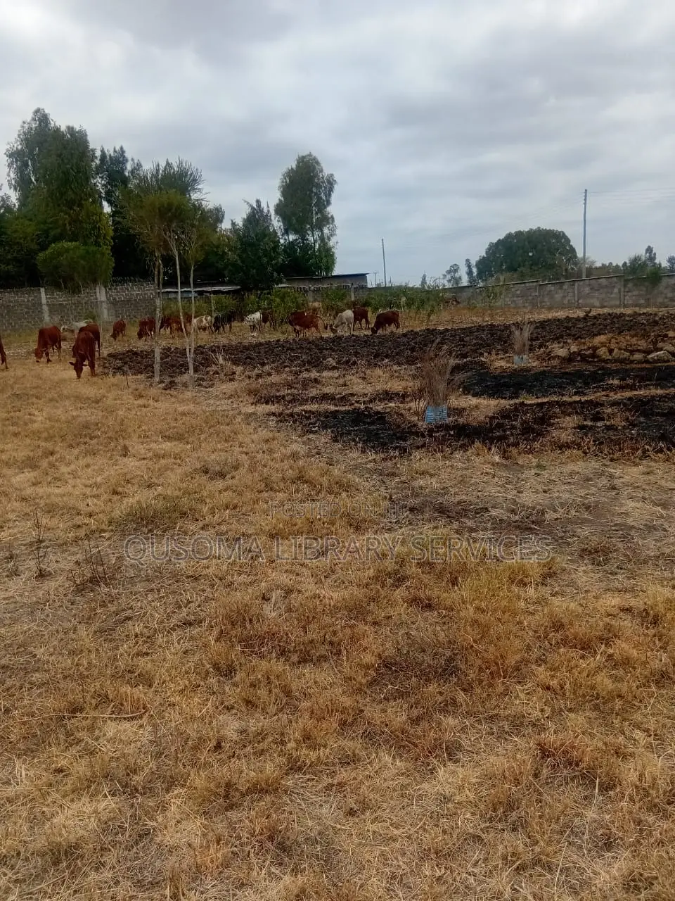 Rare 38-Plot Gated Community in Kisaju, Huanshi – Immediate Profits in Kisaju