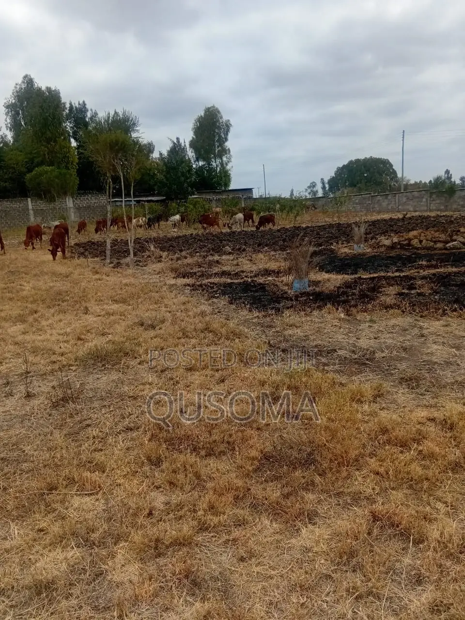 Rare 38-Plot Gated Community in Kisaju, Huanshi – Immediate Profits in Kisaju