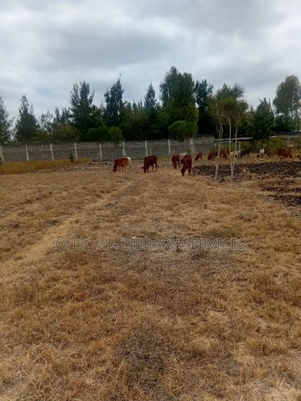 Rare 38-Plot Gated Community in Kisaju, Huanshi – Immediate Profits in Kisaju