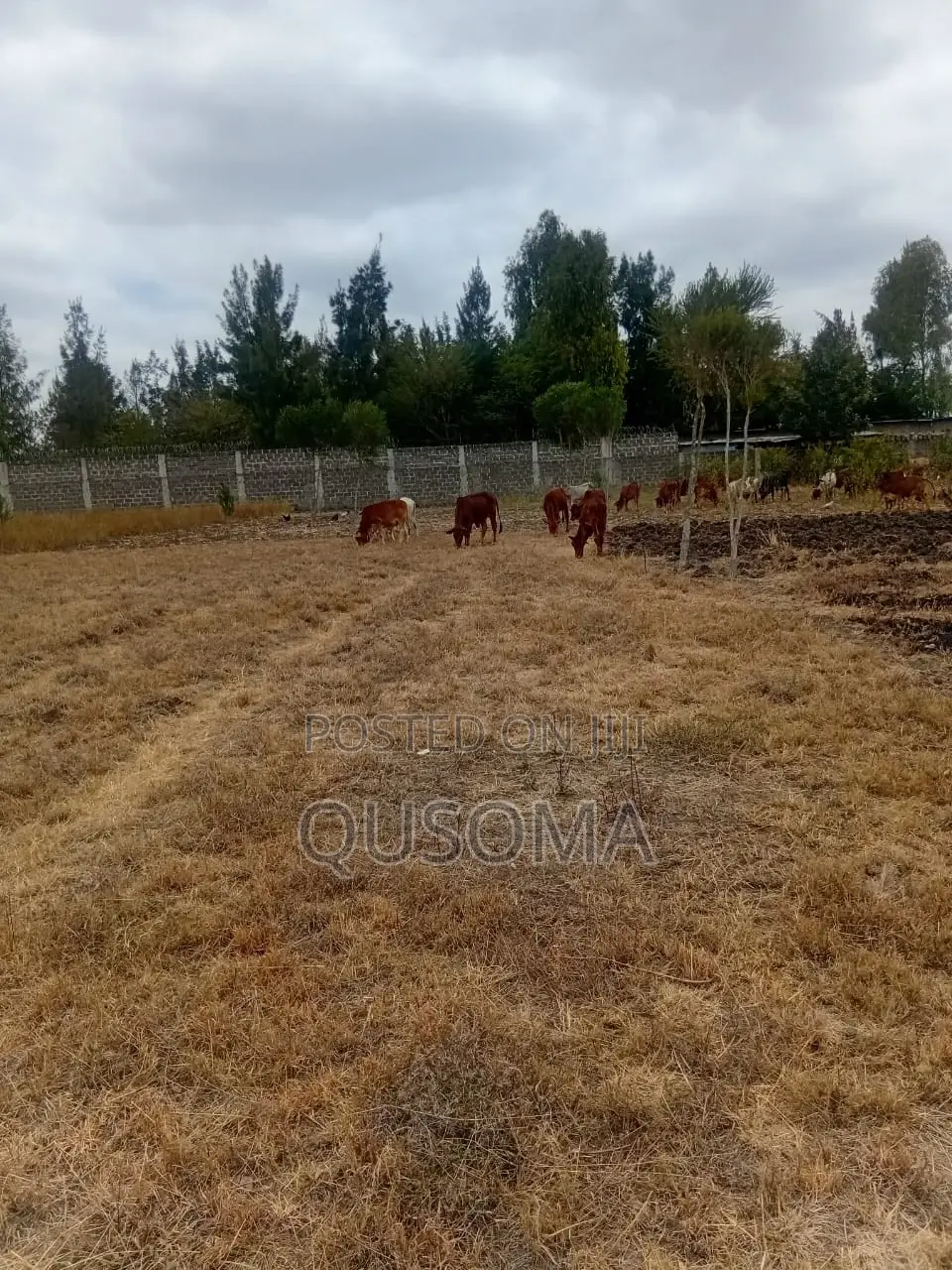 Rare 38-Plot Gated Community in Kisaju, Huanshi – Immediate Profits in Kisaju