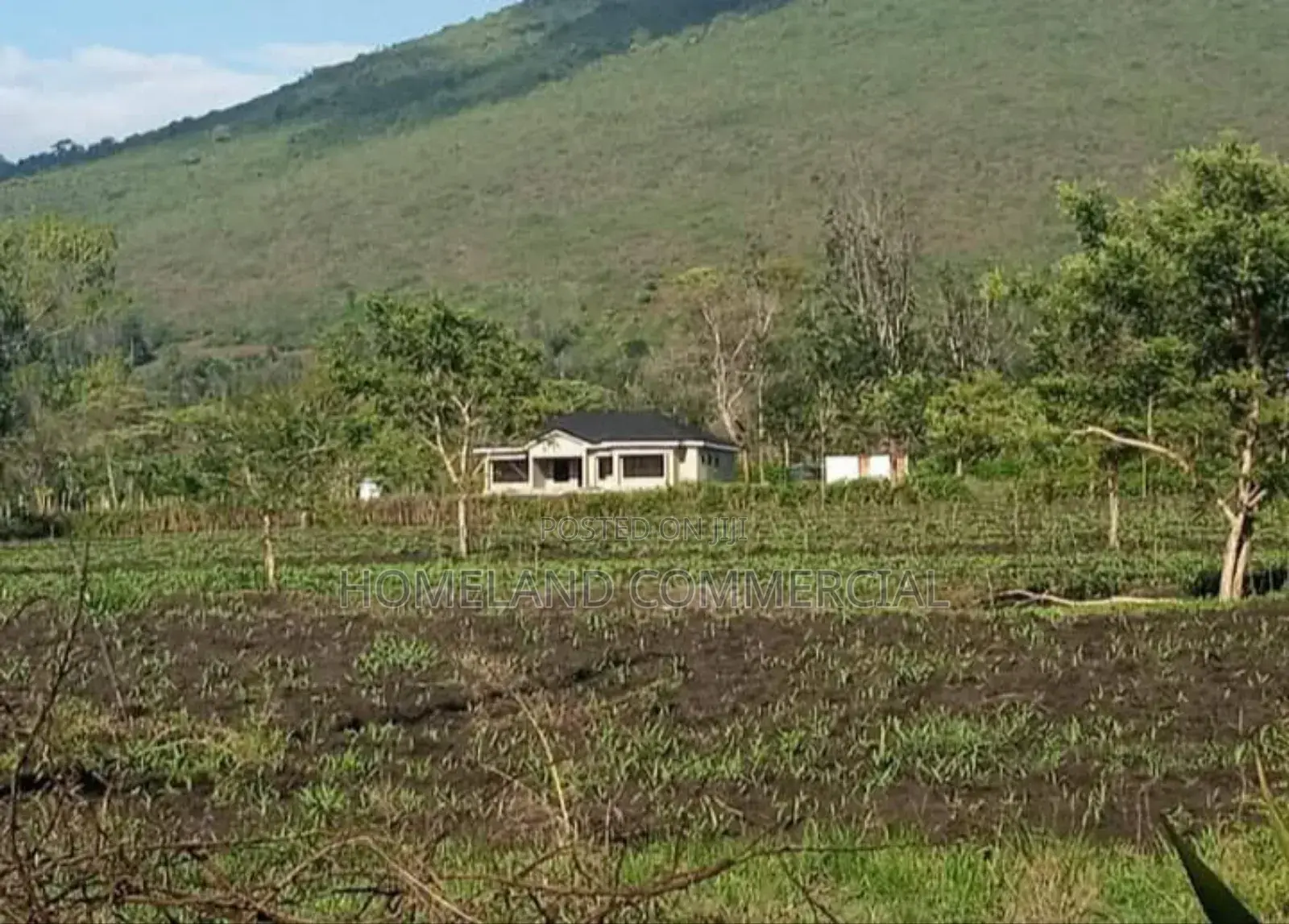 Land for Sale in Kiserian 3 Acres Selling as a Block. in Kiserian